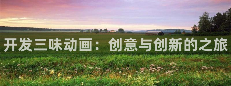 天堂动漫在线官网入口：开发三味动画：创意与创新的之旅