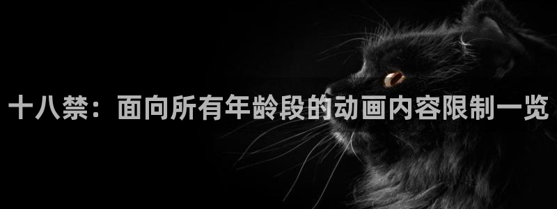 动漫天堂动漫：十八禁：面向所有年龄段的动画内容限制一览