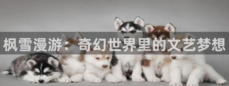 天堂动漫软件下载：枫雪漫游：奇幻世界里的文艺梦想