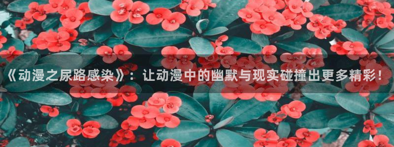 天堂动漫网官网：《动漫之尿路感染》：让动漫中的幽默与现实碰撞出更多精彩！